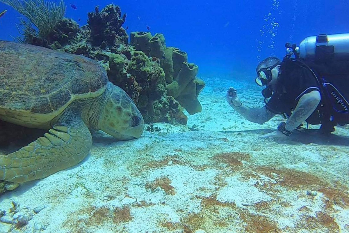 Scuba diver observing sea turtle on ocean floor during excursion.